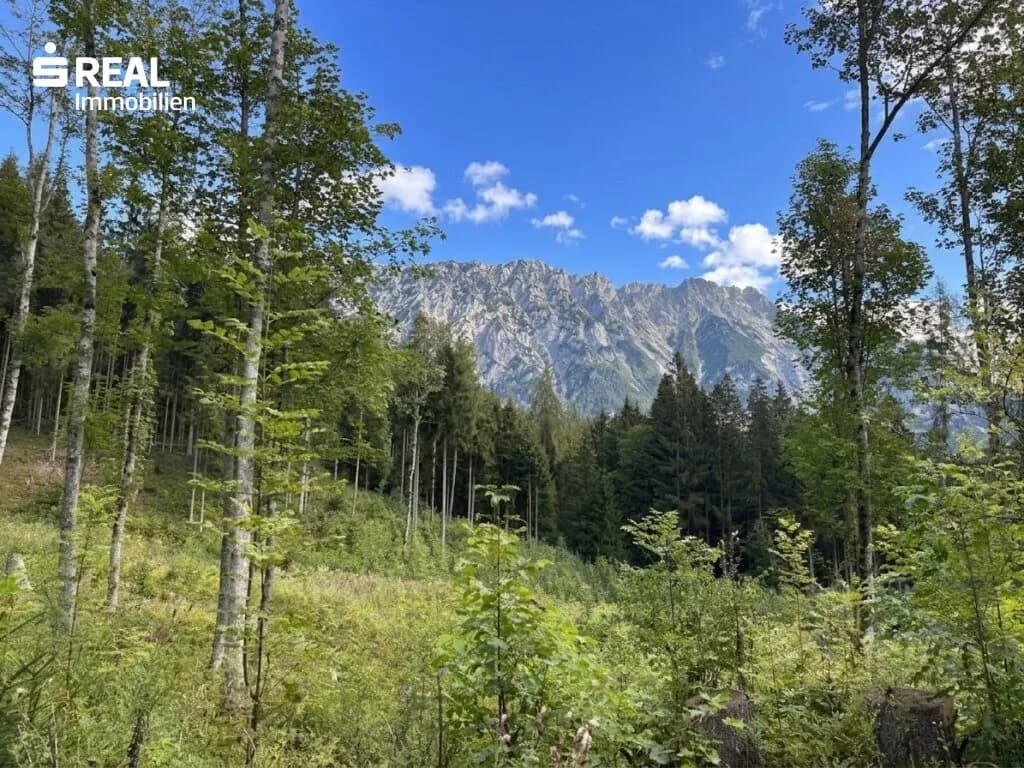 Grundstück kaufen in Liezen – 73 417 m², € 215.000