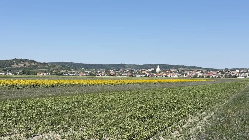 Immobilie kaufen in Neusiedl am See – 49 526 m², € 445.000