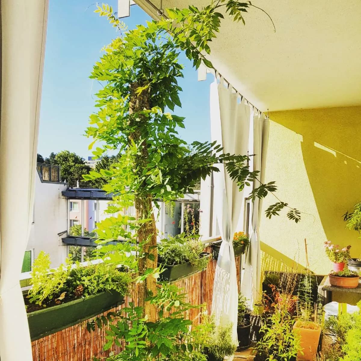 2-Zimmer-Wohnung kaufen in Wien – 55 m², € 400.000