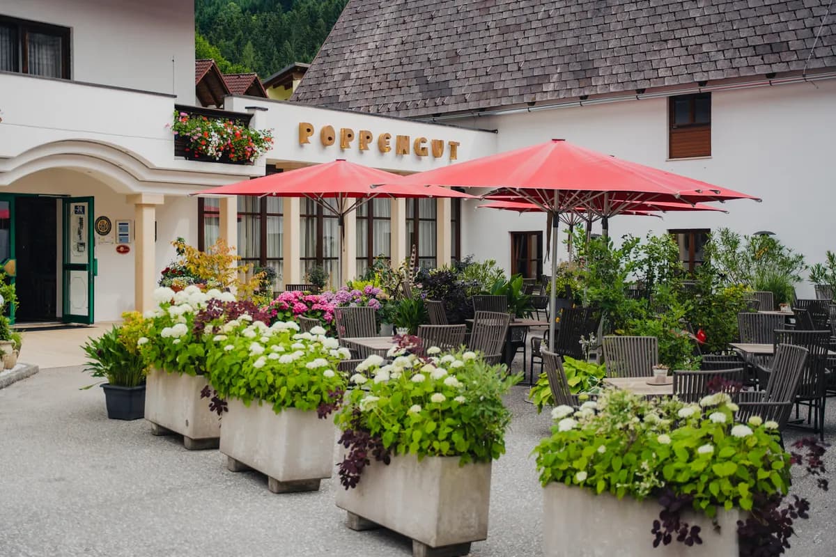 Gewerbeimmobilie kaufen in Kirchdorf an der Krems – 19 000 m²