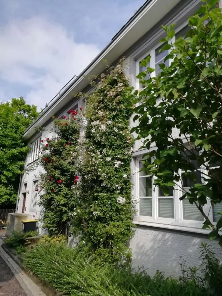 2-Zimmer-Wohnung mieten in Linz – 41 m², € 1.400