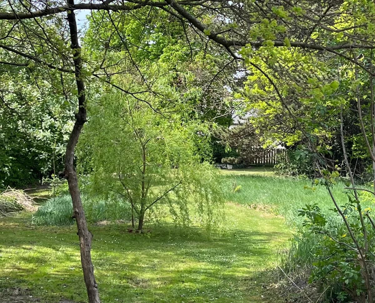 Grundstück kaufen in Baden – 1 000 m², € 500.000